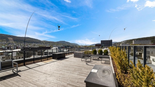 Felles takterrasse.