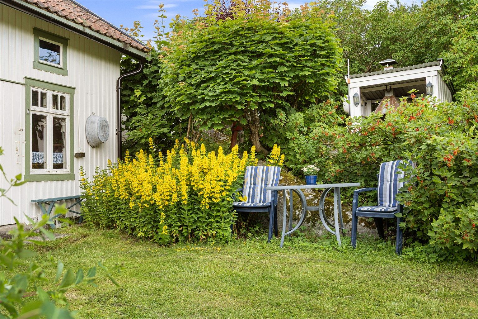En usjenert sitteplass i hagen.