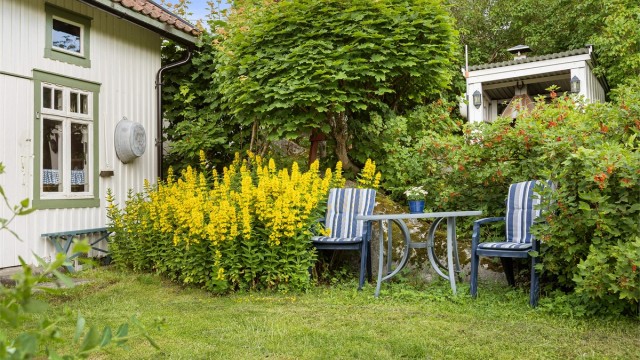 En usjenert sitteplass i hagen.