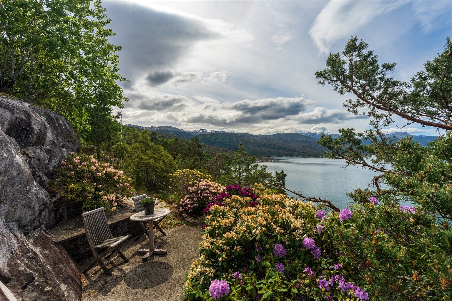 - Nydelige opparbeidet med vakre rododendron i full blomst -