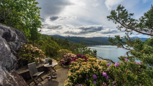 - Nydelige opparbeidet med vakre rododendron i full blomst -