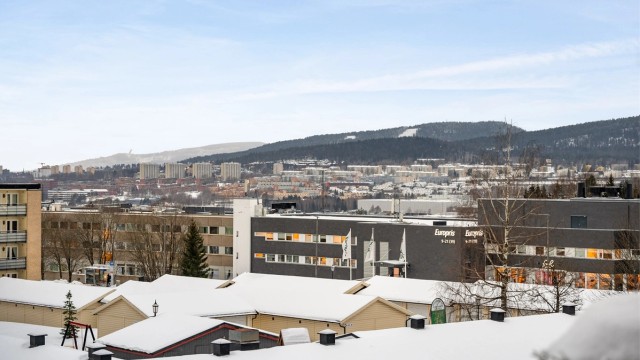 Fra leiligheten er det flott utsikt over nærområdet og umiddelbar nærhet til Østmarka.