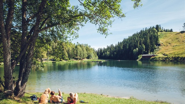 Fine tur og bademuligheter på Trollvann