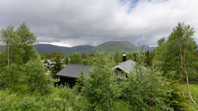Nærområdet består av fritidseiendommer utbygd fra 1990-tallet og utover.