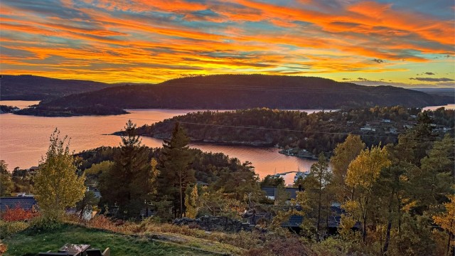 Gylteåsen er et veletablert og ettertraktet hyttefelt, kun ca. 8 minutter med bil fra Drøbak sentrum (privat bilde).