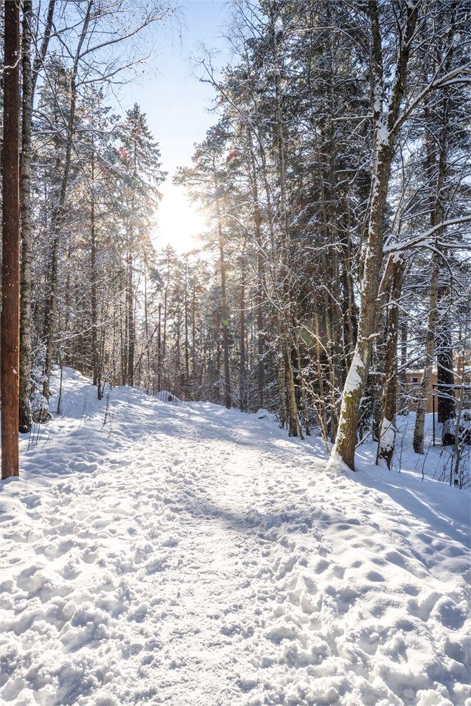 Med tursti og lysløype rett bak blokken er veien kort til rekreasjon i nærområdet.