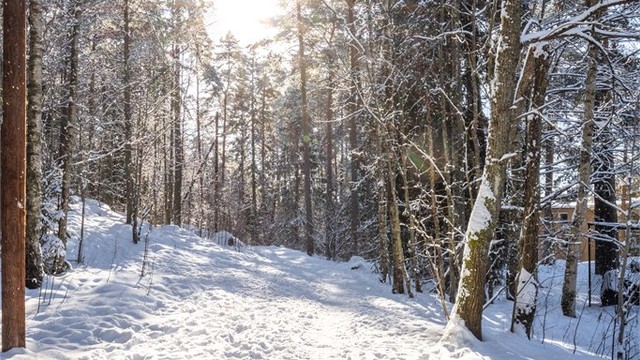 Med tursti og lysløype rett bak blokken er veien kort til rekreasjon i nærområdet.