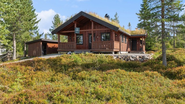 Velkommen til Søndre St. Olav 142! Romslig og innbydende fritidsbolig med flott beliggenhet på et attraktivt og veletablert hyttefelt. (Foto: EFKT v/ Kristian Haug)