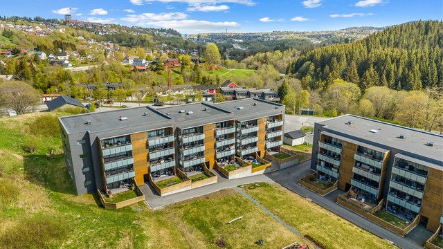 I tilknytning til skolen ligger Romolslia idrettsplass, og i nærområdet finnes det flere lekeplasser, balløkker og aktivitetsområder som legger godt til rette for barn og unge.