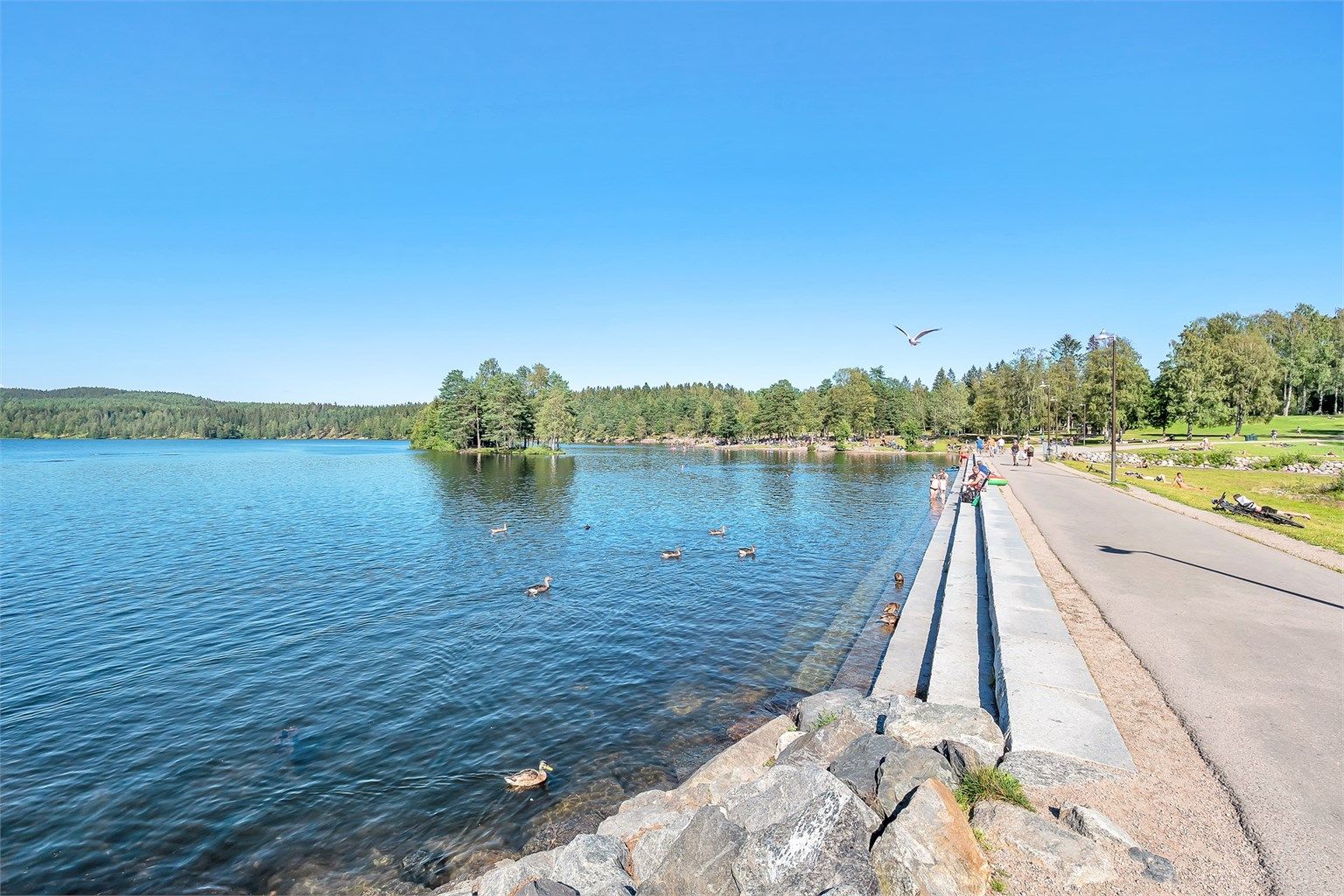 Sognsvann.