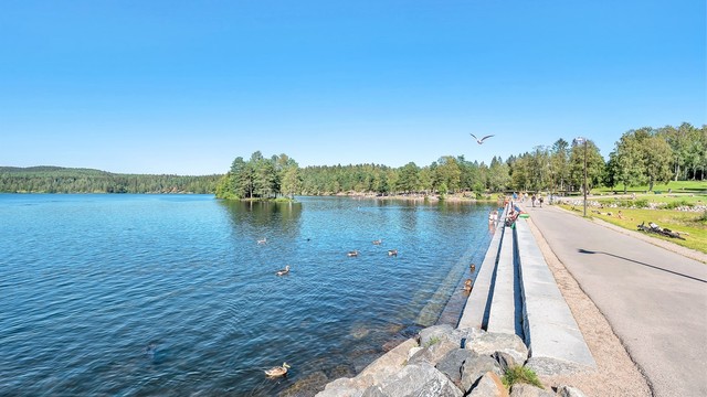 Sognsvann.