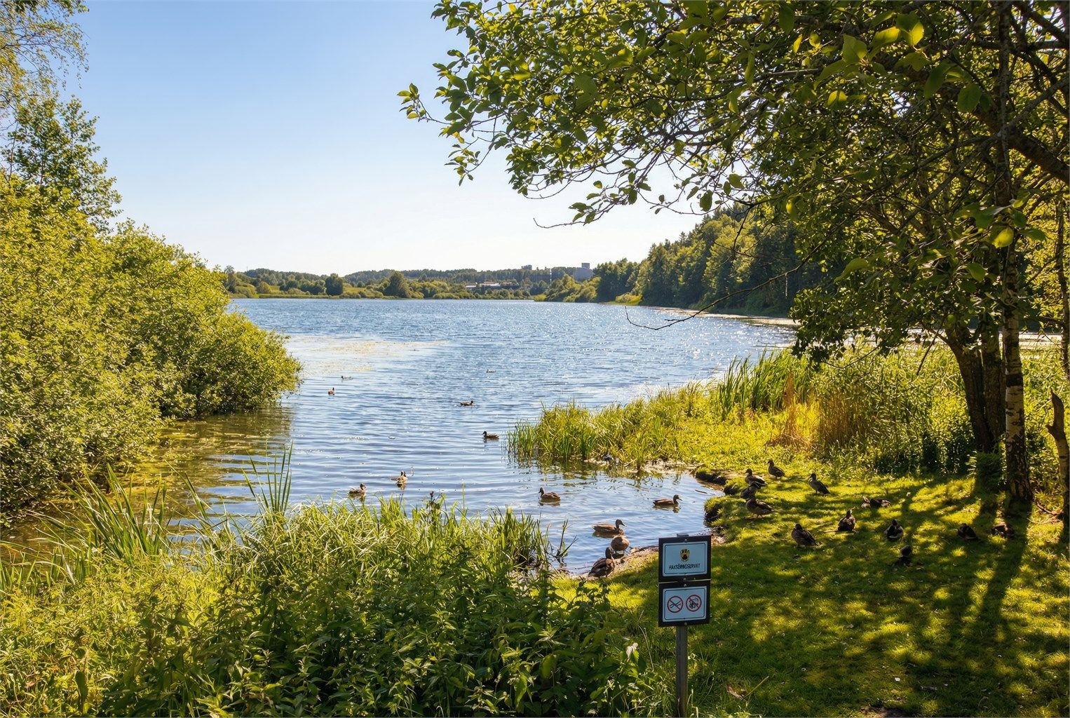 Med Østensjøvannet og Østmarka som nærmeste nabo er det rike tur- og rekreasjonsmuligheter året rundt, rett utenfor døren.