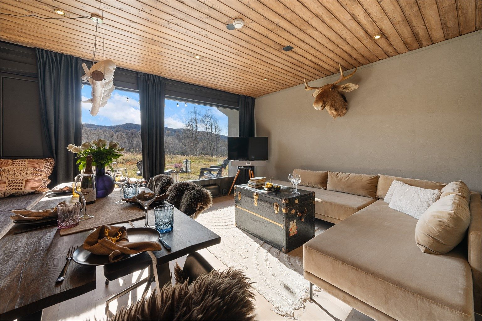 Lun og trivelig leilighet.