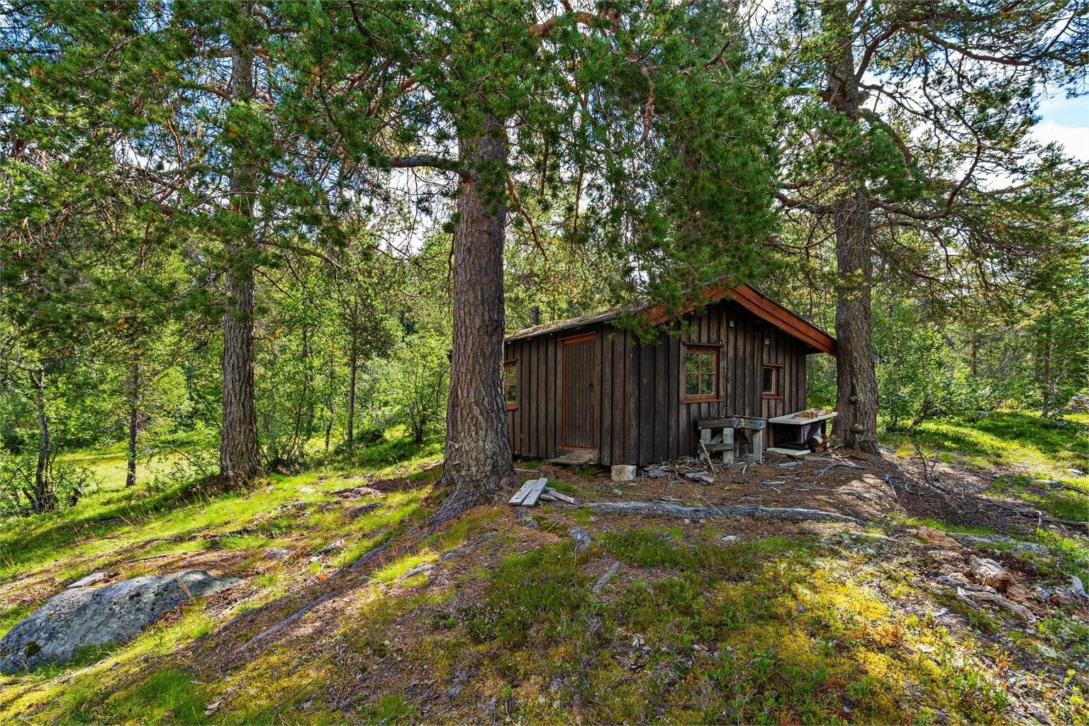 - Velkommen til Røyrtjønn - 