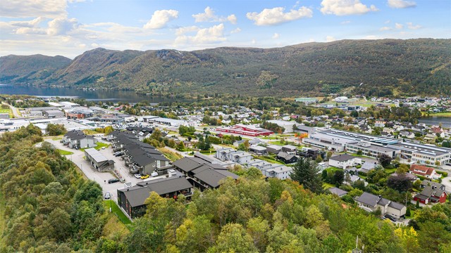 Nærområdet byr på kort vei til Borgund videregående skole, barnehage og servicetilbud på Moa.