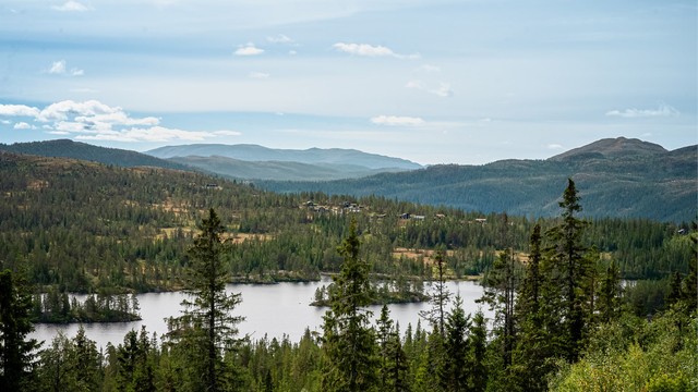 Utsikt