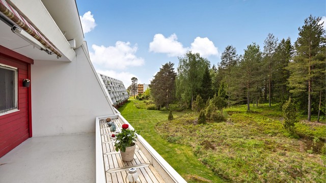 Flott utsikt over fellesarealene og skogen.