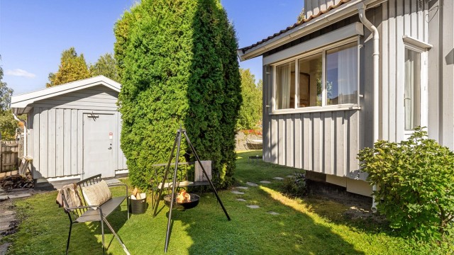 Skjermet hageområde med frodig hekk og gangsti bort til uteboden.