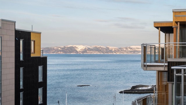 Utsiktsbilde mot Trondheimsfjorden.