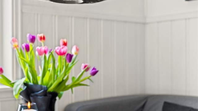 Sitt ned og nyt en kaffekopp og titt ut