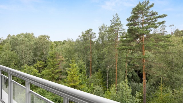 Flott utsikt og uten innsyn - orientert med vest med gode solforhold