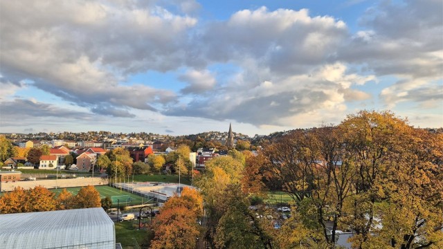 Selgers bilde fra balkongen, med frodige, grønne trær som omkranser nabolaget