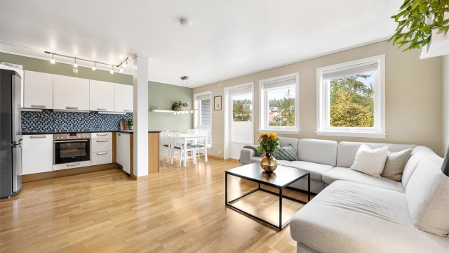 Velkommen til Prinsessetunet 24! Presenteres av Jørgen Gabrielsen v/Krogsveen avd. Skedsmokorset!