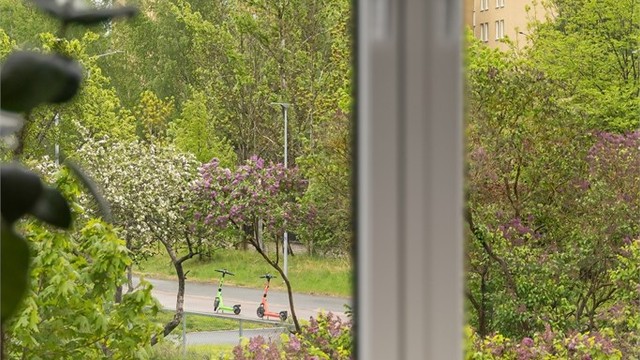 Her kan du spise frokost og se på den frodige utsikten fra kjøkkenvinduet