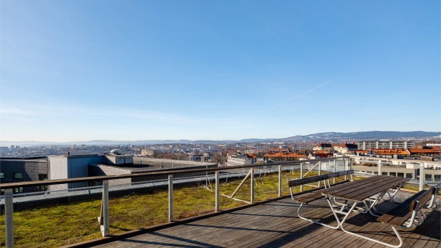 Her er det felles sittegrupper, grill, solsenger og utrolig hyggelig atmosfære.
