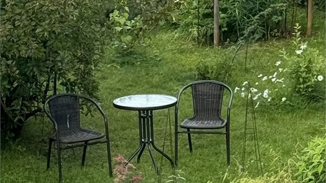 Finn roen ved hagedammen med fontene i den delen av hagen med urte- og bærbusker.