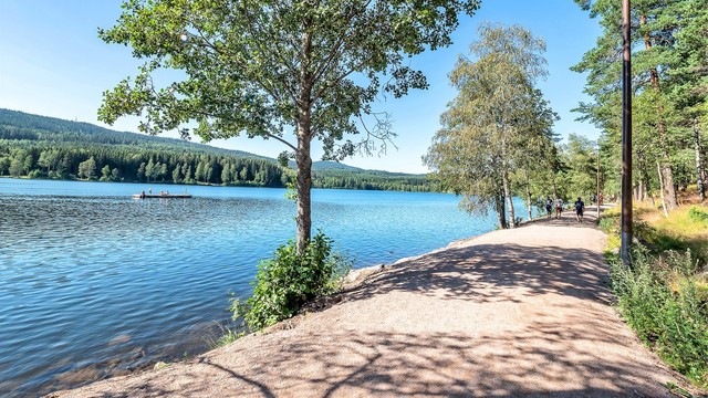 Det er nydelige turstier i nærområdet.