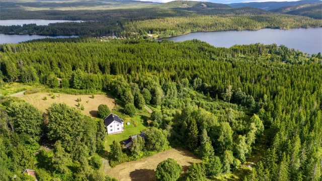 Skjerva er et fint område for blant annet padling, fiske og bading, og det finnes muligheter for å bruke kajakk og kano.
Om vinteren prepareres det skiløyper i området av Skjerva løypelag.