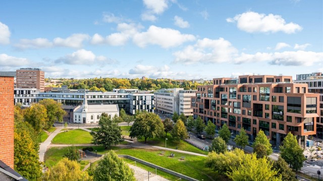 Fantastisk utsikt mot Elgparken, en grønn oase midt i Oslo sentrum.