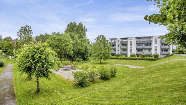 Store, grønne fellesarealer omkranser borettslagene.