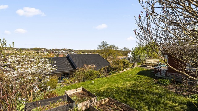 Den frodige hagen byr på prydbukser/planter/frukttrær