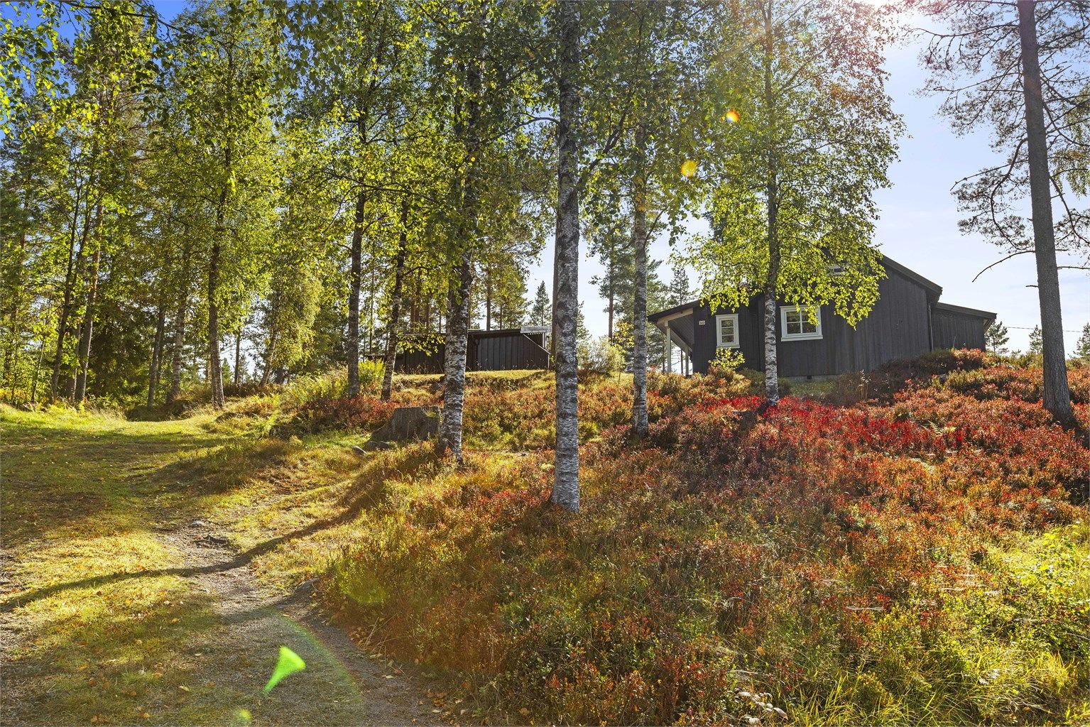 Fra hytta kan man gå rett ut i naturen. 