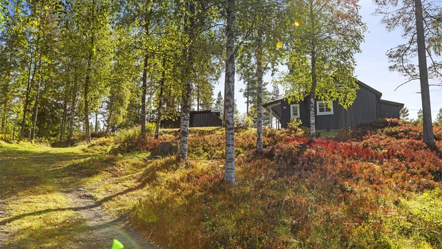 Fra hytta kan man gå rett ut i naturen.