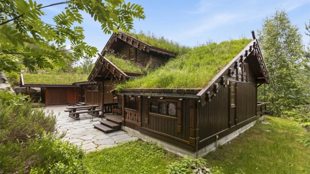 Naturlig vegetasjon omkranser hytten