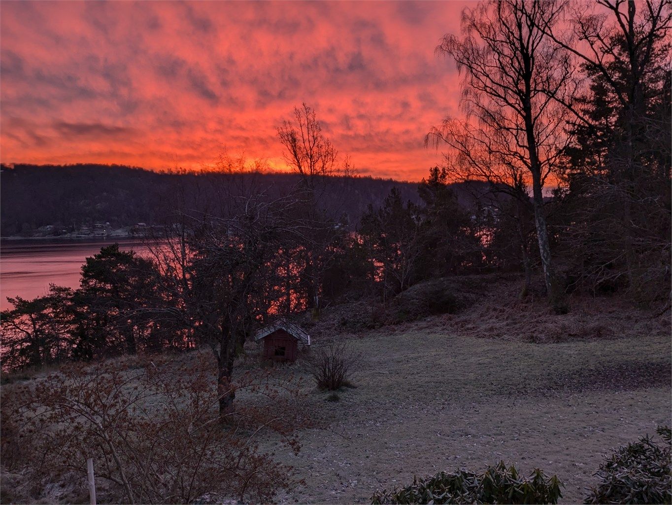 En stemningsfull desembermorgen på Svartskog, hvor soloppgangen farger himmel og sjø i varme oransje nyanser rundt den fredelige hagen. (selgers bilde)