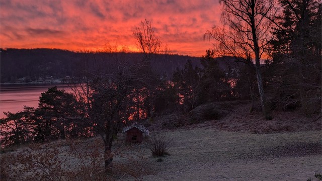 En stemningsfull desembermorgen på Svartskog, hvor soloppgangen farger himmel og sjø i varme oransje nyanser rundt den fredelige hagen. (selgers bilde)