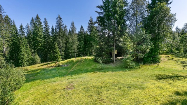 Hagen