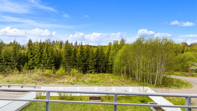 Nydelig utsikt mot skogsområde.