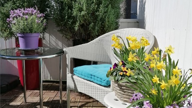 Solrik og usjenert plass å nyte varme sommerdager.