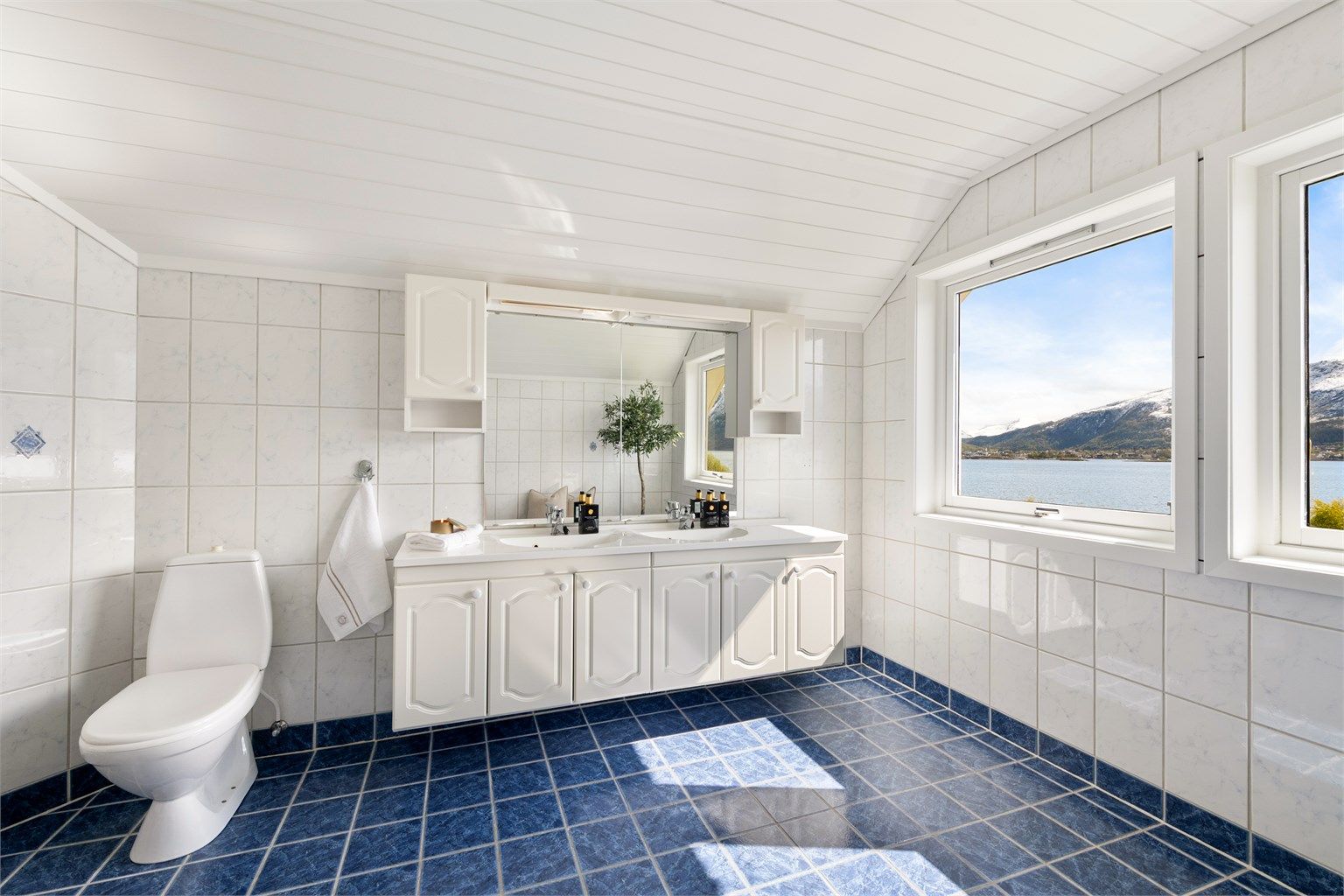 Badet har både dusjkabinett og opplegg for badekar