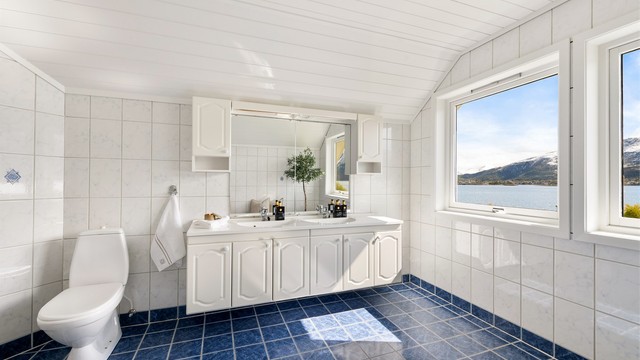 Badet har både dusjkabinett og opplegg for badekar