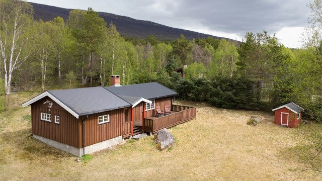 Eiendomsmegler/Partner Harald Osdal har gleden av å presentere en fredelig hytteperle med tre tomter i uberørt natur
Foto: Jarle Osen