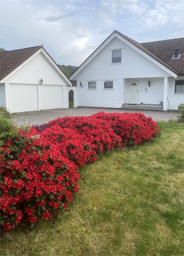 Flott bilde av hagen mot nord - tatt av selger