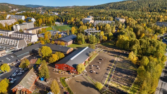 Området byr på et godt idrettstilbud fra Høybråten og Stovner IL.