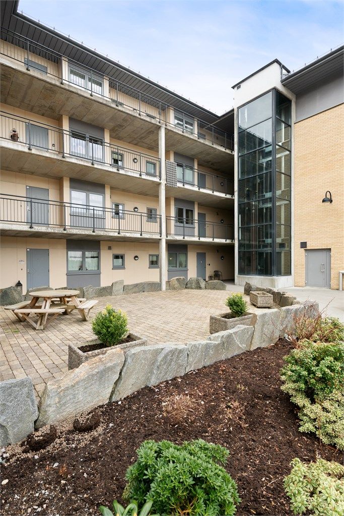 Pent opparbeidet fellesområde ved inngangspartiet med sittegrupper og beplantning.