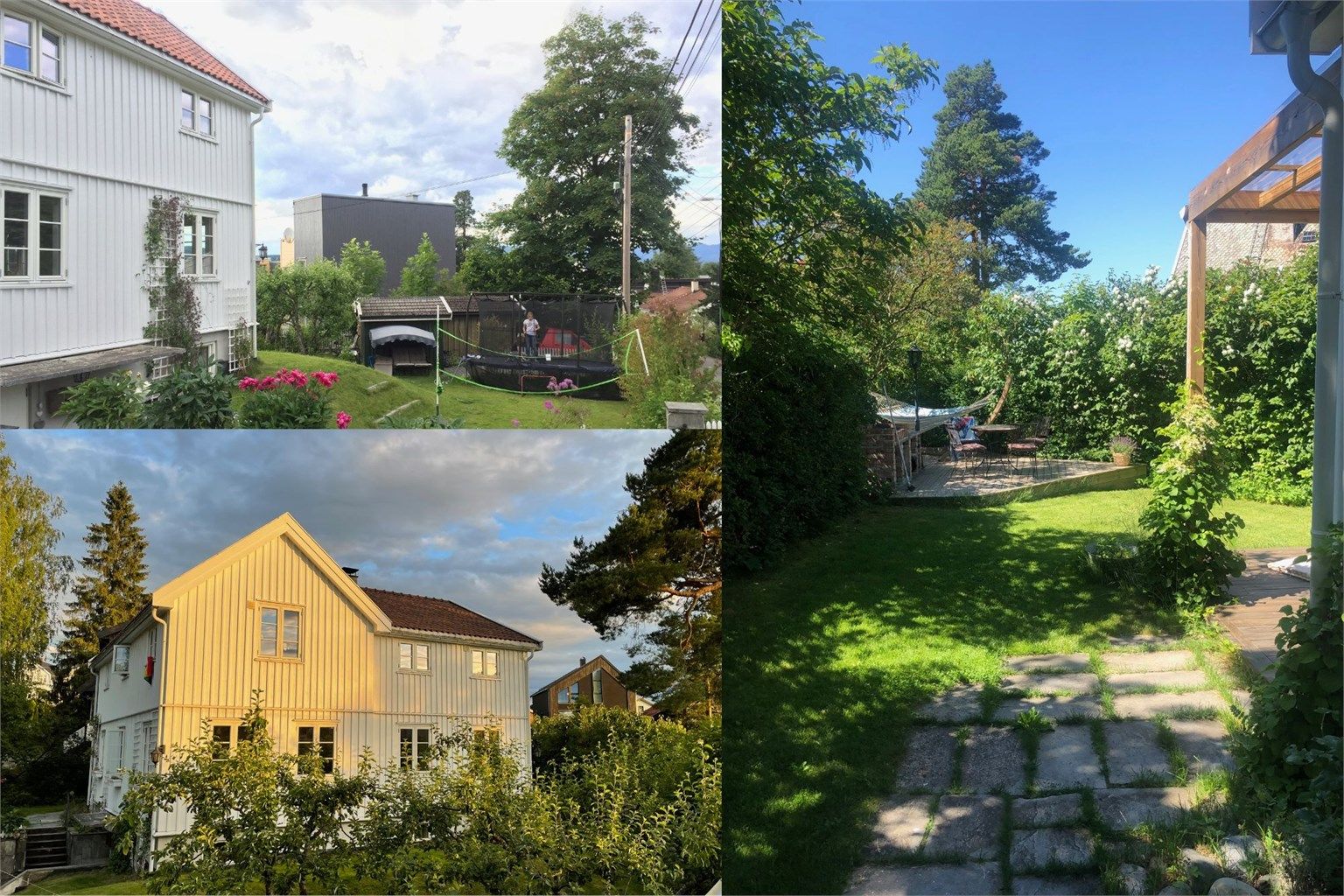 Selgers egne sommerbilder av hagen